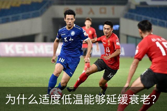 为什么适度低温能够延缓衰老？